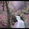 185-8553_IMG